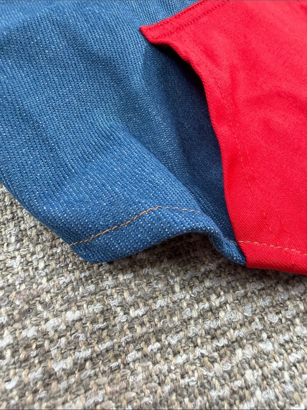Red and Blue Dog vest with Cap